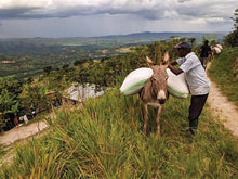 Load image into Gallery viewer, 250g Uganda Natural - Kisinga
