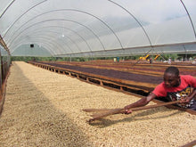 Load image into Gallery viewer, 250g Uganda Natural - Kisinga
